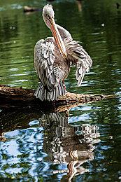 《极限国度》售前试玩周活动 免费体验完整游戏